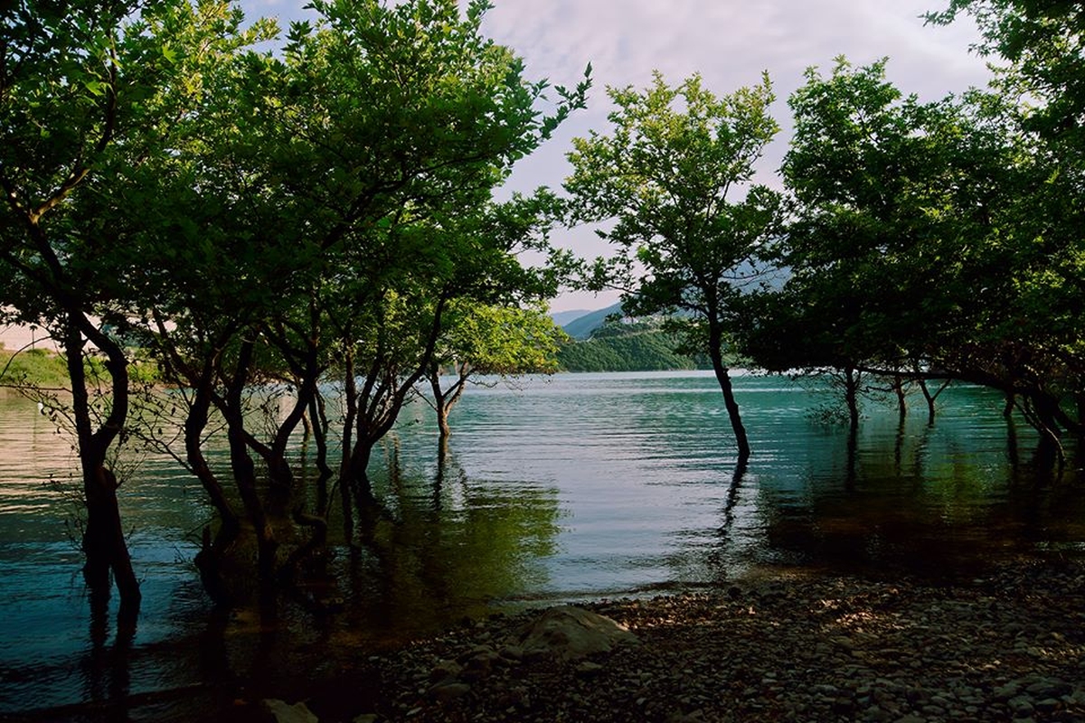 images 26
