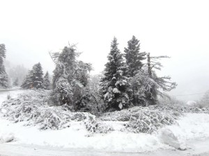 Λαμπίρι προς Αραποκέφαλα – Μαγικό χιονισμένο τοπίο